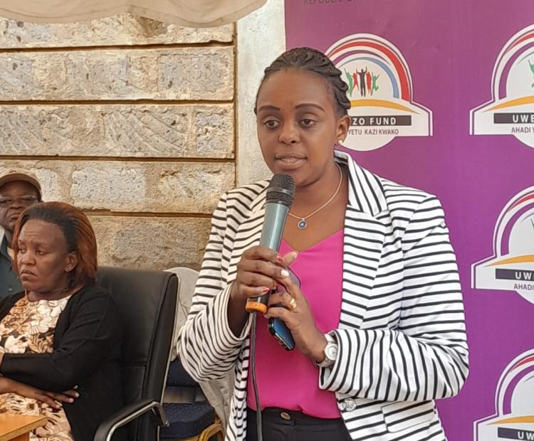 North Imenti Constituency